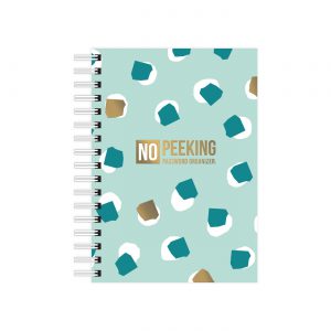 A6 Notebook No Peeking | Studio Stationery